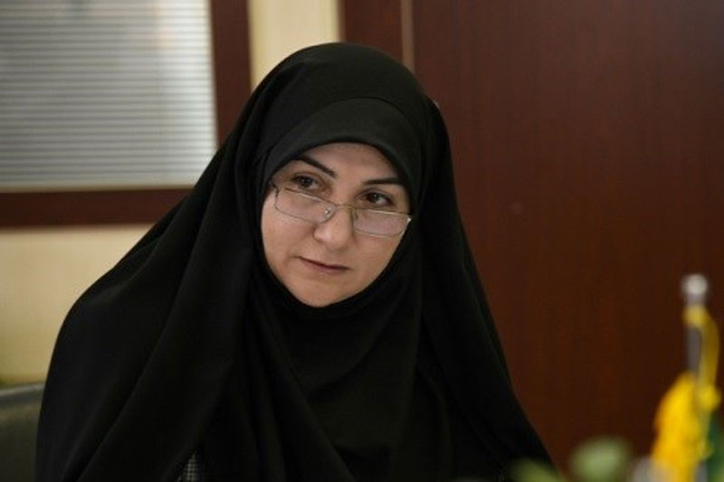 محمدیان: برای ورود زنان به ورزشگاه “دد لاین” نداریم