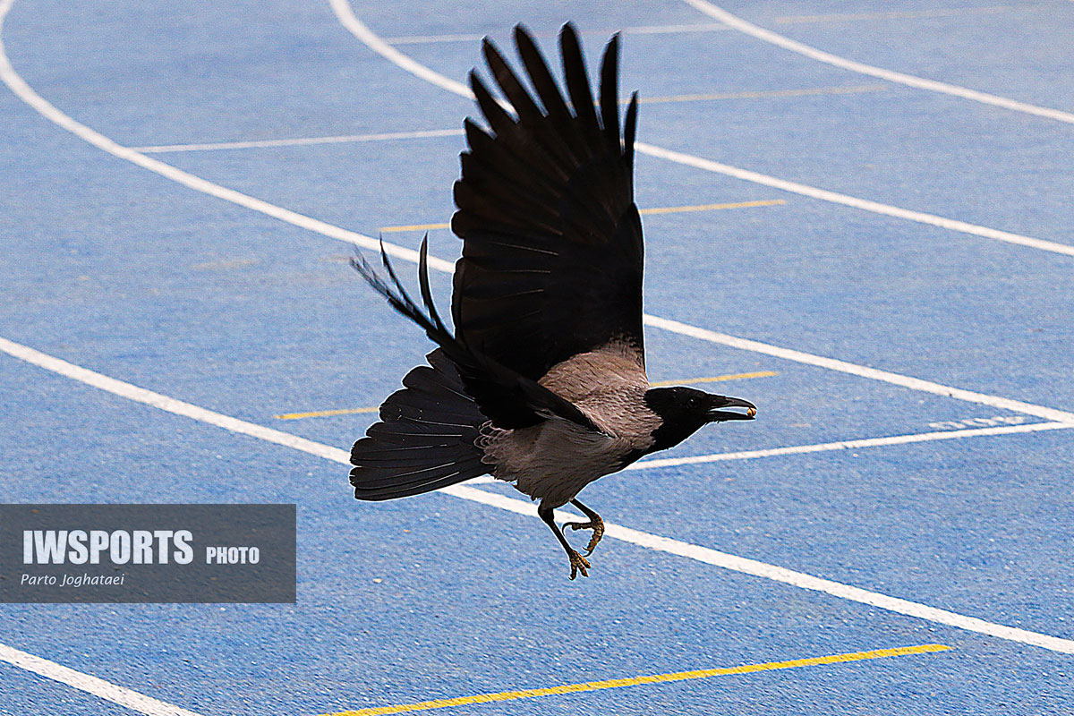 نه به خود قهرمان پندارها، به اشتراک‌گذاری دروغ