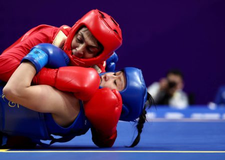 نمایندگان ووشو در چین؛ منصوریان‌ها و دریایی