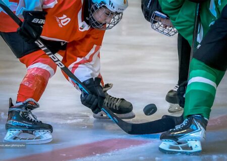 هما به صدر رسید، رمازی دوازده گله شد